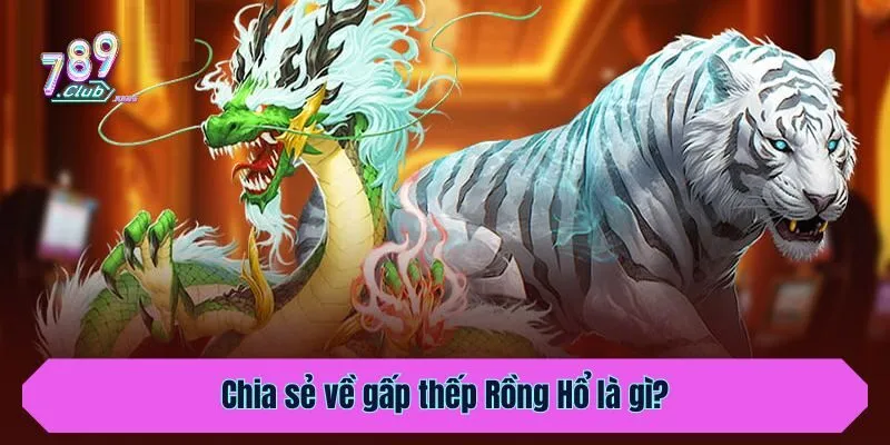 Chia sẻ về gấp thếp Rồng Hổ là gì?