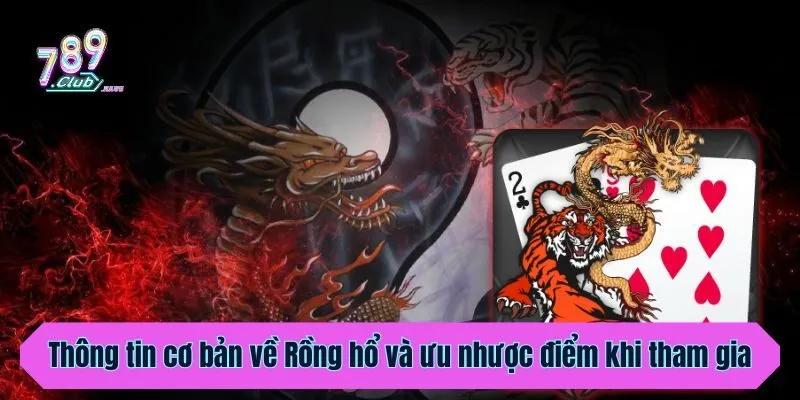 Thông tin cơ bản về Rồng hổ và ưu nhược điểm khi tham gia